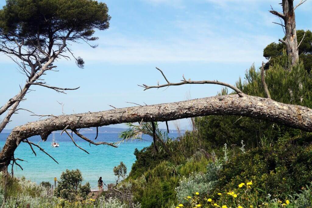 Porquerolles La Courtade Accès Plage2 1024x682