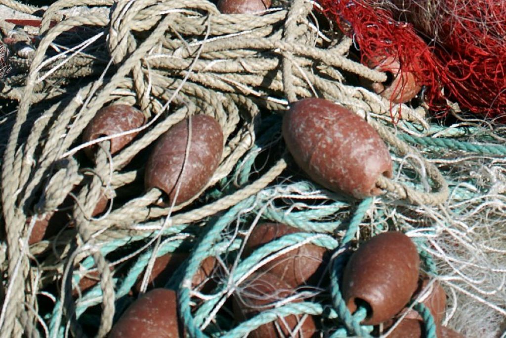 Saint Elme Port Pointus Filets 1024x682