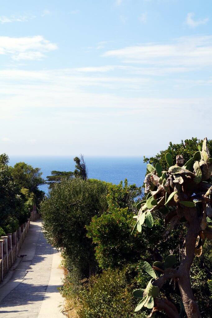 Levant-Ile-Chemin-Figue-Barbarie1