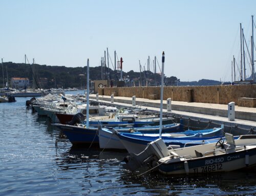 Port du Brusc – Appel à candidature pour une AOT