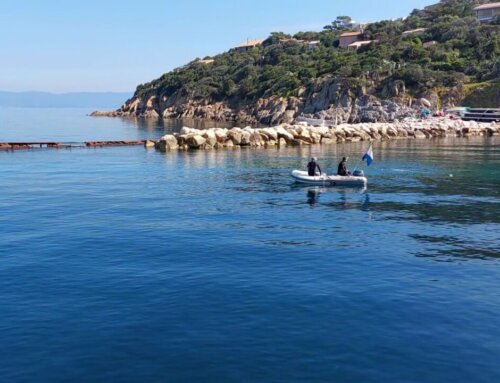 Avis d’enquête publique – Port de l’Ayguade du Levant