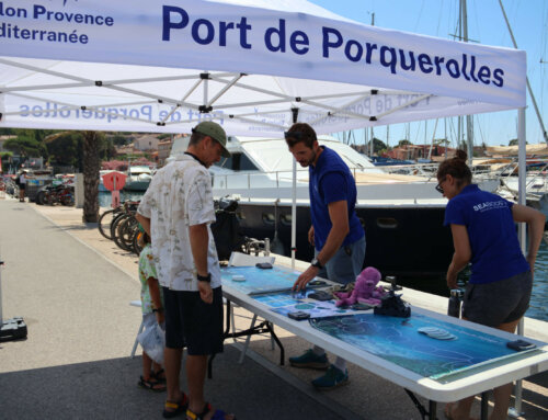 Une journée de sensibilisation à la biodiversité marine sur le port de Porquerolles