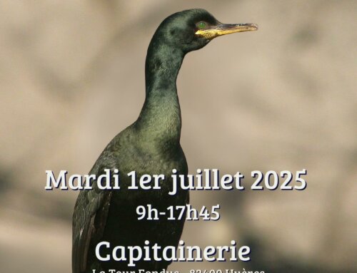 Une journée de sensibilisation à la biodiversité sur le port de la Tour Fondue