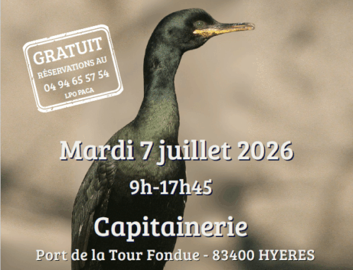 Biodiversité : rendez-vous sur les ports de la Tour Fondue et du Brusc pour deux journées de sensibilisation !