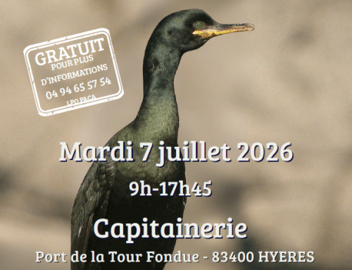 Biodiversité : rendez-vous sur les ports de la Tour Fondue et du Brusc pour deux journées de sensibilisation !