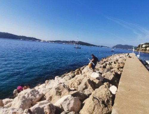 World Cleanup Day : plus de 55 kg de déchets collectés sur le port Saint-Louis du Mourillon