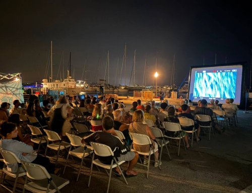 Porquerolles : la biodiversité sous-marine s’invite sur le port !
